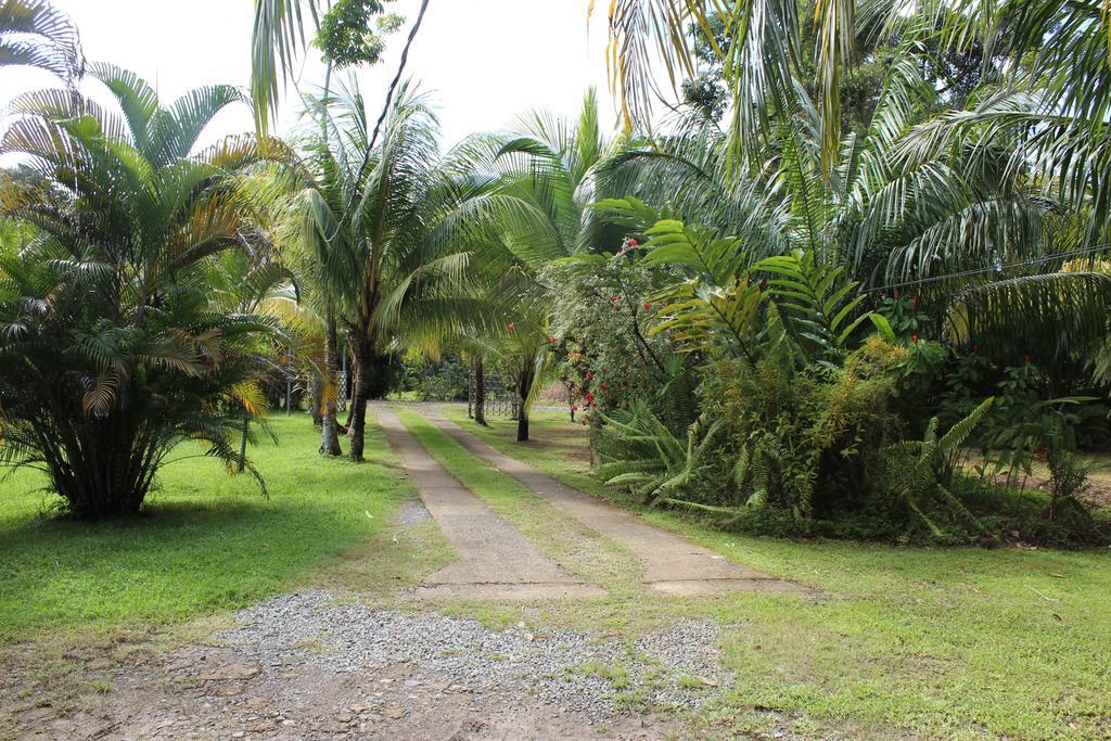 Villas Maria Luisa Uvita Kültér fotó