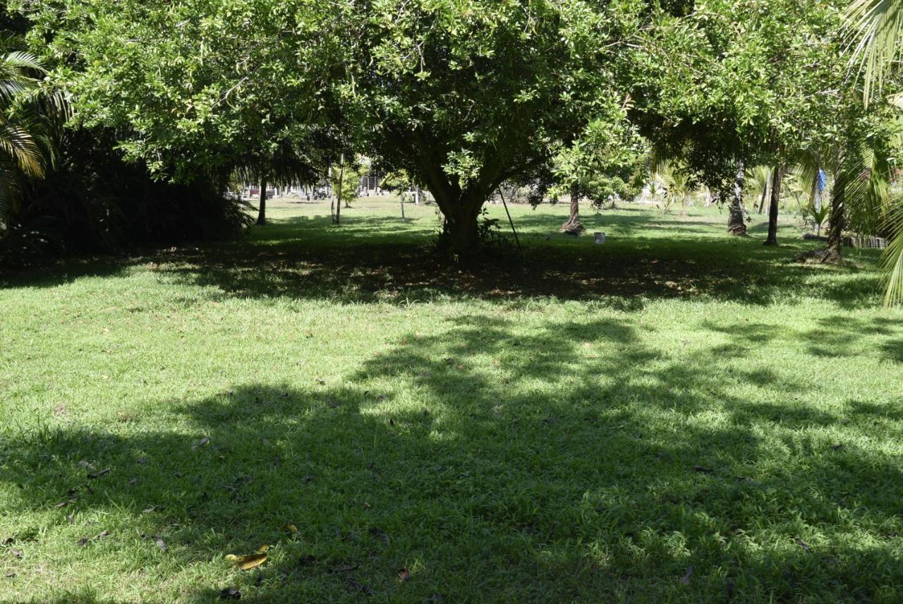 Villas Maria Luisa Uvita Kültér fotó